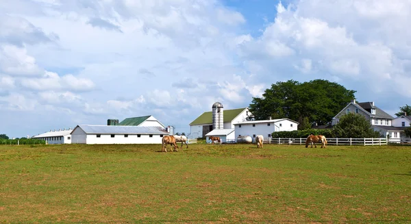 Bondgård med fältet och silo — Stockfoto