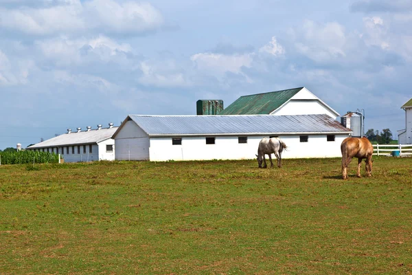 Фермерський будинок з полем і силосом — стокове фото