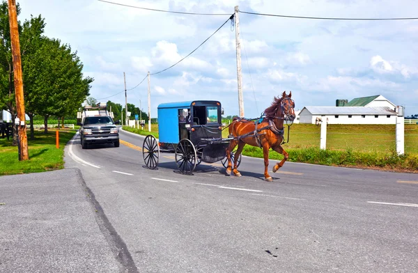 Un cavallo che tira un carro attraverso un bellissimo paesaggio del Saskatchewan — Foto Stock