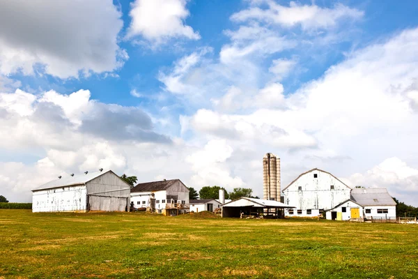 Casa de campo con campo y silo — Foto de Stock