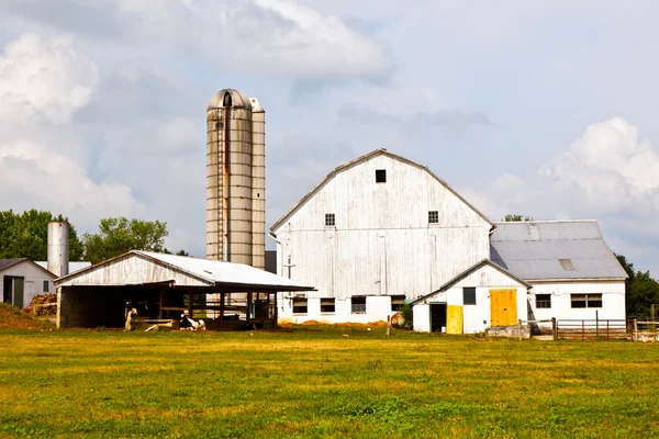 Agriturismo con campo e silo — Foto Stock