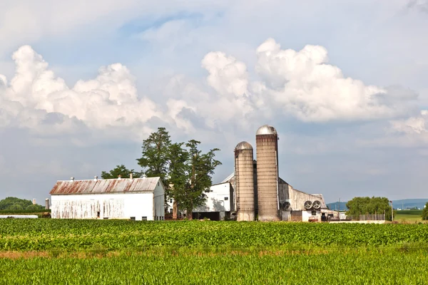 Boerderij met veld en silo — Stockfoto