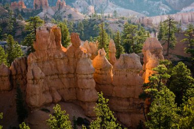 Bryce canyon hoodoos içinde güneşin ilk ışınları