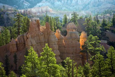 Bryce canyon hoodoos içinde güneşin ilk ışınları