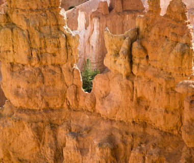 güzel manzara muhteşem taş forma ile bryce canyon