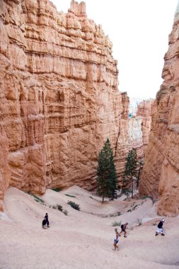 güzel manzara muhteşem taş forma ile bryce canyon