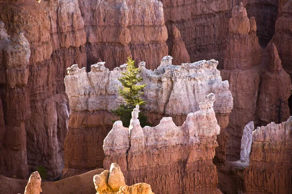 Beautiful landscape in Bryce Canyon with magnificent Stone forma