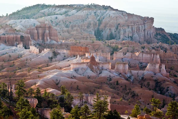 Bryce Canyon hoodoos in the first rays of sun — Stock Photo, Image
