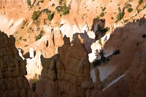 stock image Bryce Canyon hoodoos in the first rays of sun