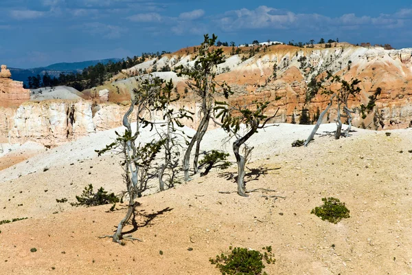 웅장 한 돌 견적으로 브라이스 캐년의 아름 다운 풍경 — 스톡 사진