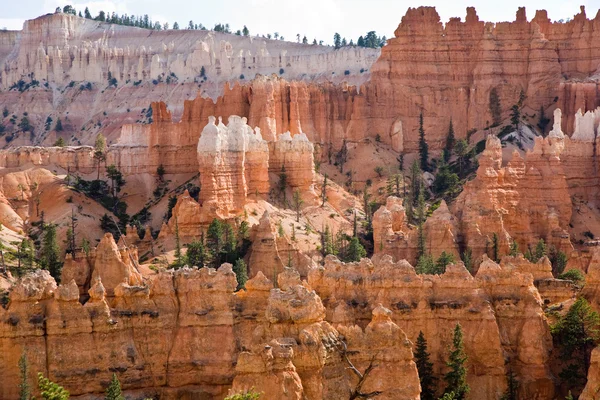 Bellissimo paesaggio nel Bryce Canyon con magnifica forma di pietra — Foto Stock