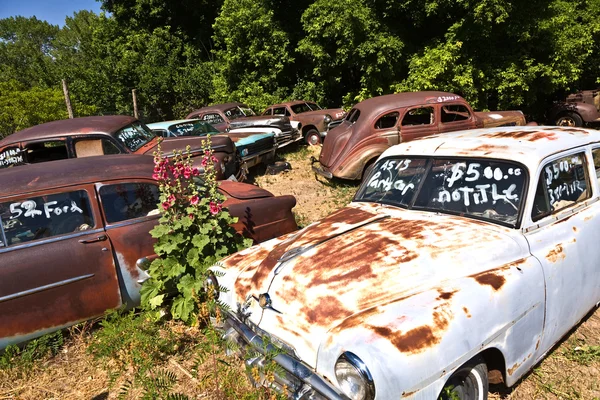 Junk yard with old beautiful oldtimers — Stock Photo, Image