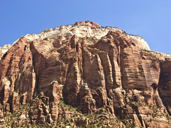 stock image Zion National Park