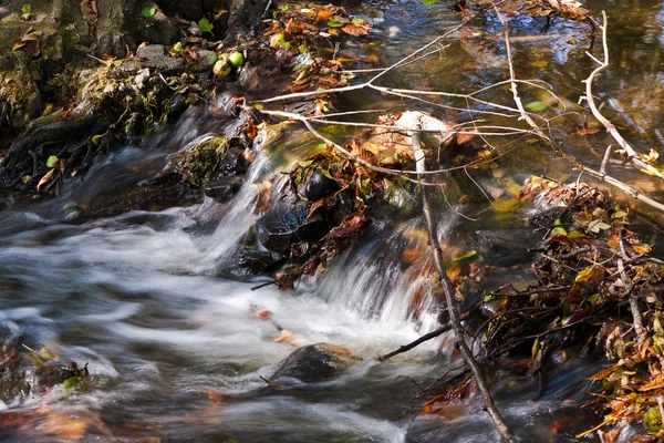 Bladeren in stromend water — Stockfoto