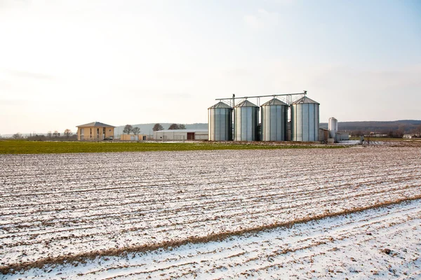Hektar med snö på vintern med silo i vackra ljus och strukturella — Stockfoto