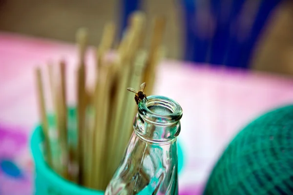 Eine Fliege läuft über den Flaschenhals, um etwas süßen Zucker aus — Stockfoto