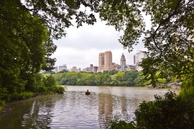 Central park in New York City Manhattan with trees and skyscrape clipart