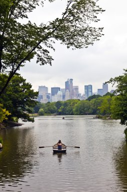 ağaç ve skyscrape new York'ta Manhattan'daki Central park