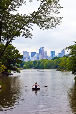 ağaç ve skyscrape new York'ta Manhattan'daki Central park