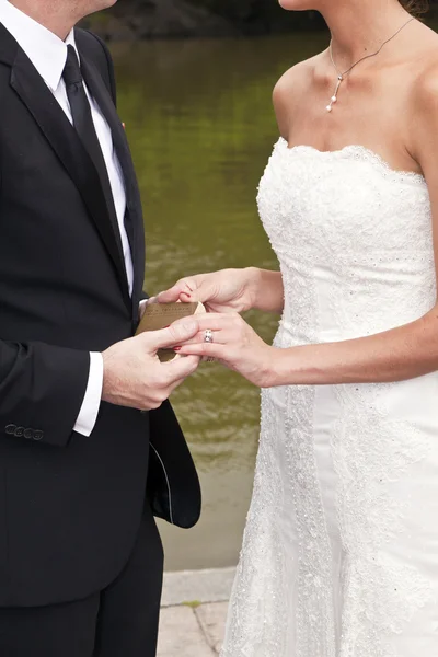 stock image Wedding couple are swearing lifetime loyality