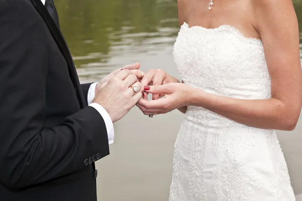 stock image Wedding couple are swearing lifetime loyality