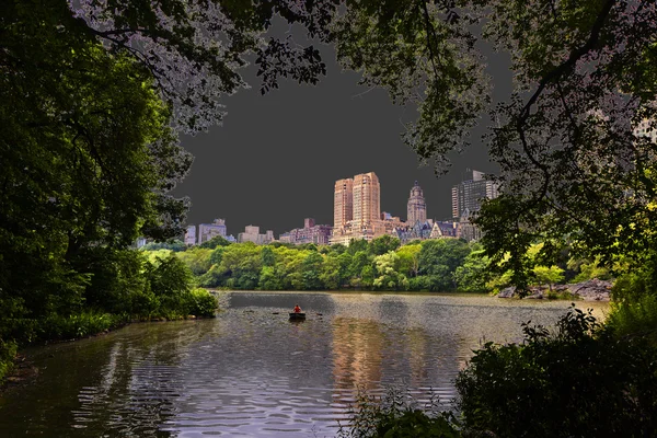 वृक्ष आणि स्कायस्क्रॅपसह न्यूयॉर्क सिटी मॅनहॅटनमधील सेंट्रल पार्क — स्टॉक फोटो, इमेज