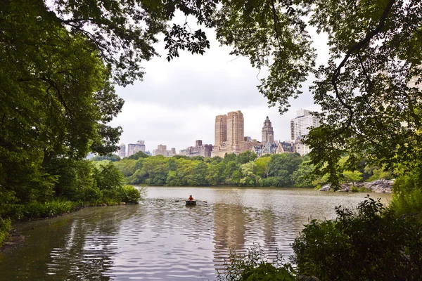 Central park in new york city manhattan met bomen en skyscrape — Stockfoto