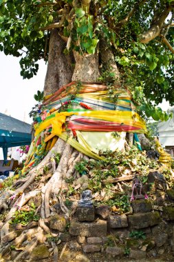 Monasterio wat na phramane en ajutthaya con la famosa estatua de Buda