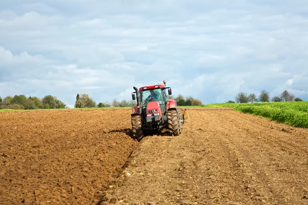Traktor, eke, a mező — Stock Fotó