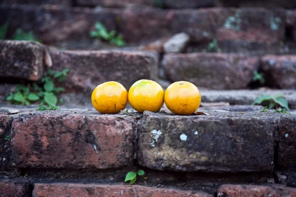 Naranjas sobre ladrillos viejos de la famosa zona del templo Wat Phra Si Sanphet —  Fotos de Stock