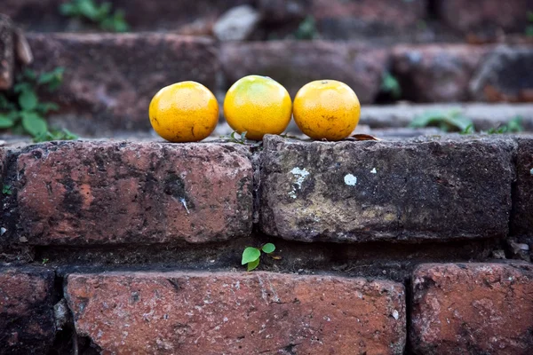 Pomarańcze na stare cegły o powierzchni słynnej świątyni wat phra si sanphet — Zdjęcie stockowe