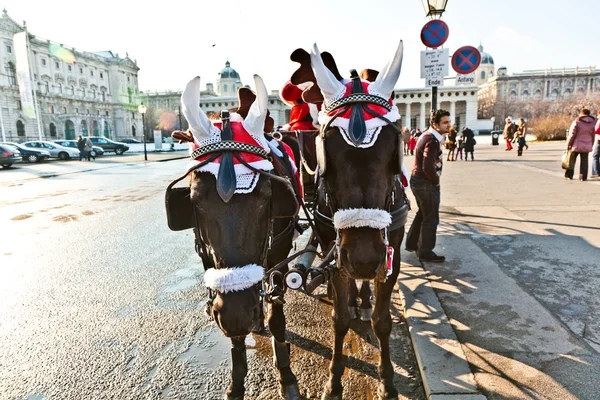 Driver of the fiaker is dressed as Santa Claus — Stock Photo, Image