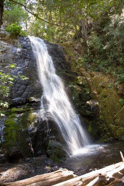 şelale küçük nehir cascade creek at