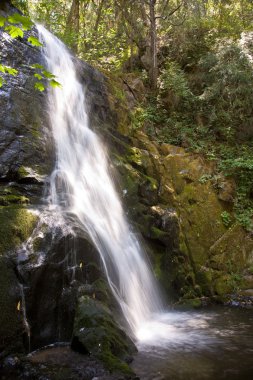 Waterfall at the small river Cascade Creek clipart