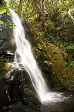 şelale küçük nehir cascade creek at