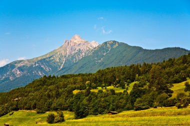 Beautiful landscape in the tirolean Alps, good smelling grass an clipart