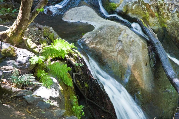 Водопад у маленькой реки Каскад-Крик — стоковое фото