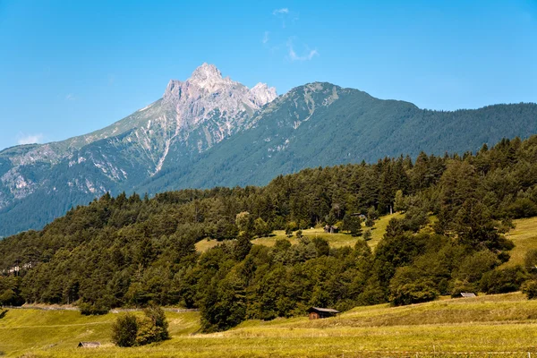 Hermoso paisaje en los Alpes tiroleos, hierba de buen olor y — Foto de Stock