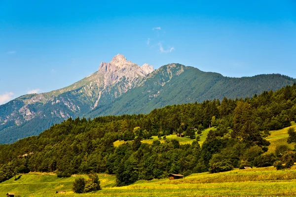 美丽的风景在洛尔阿尔卑斯山，好嗅到草 — 图库照片