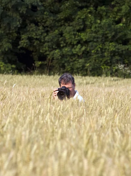 Fotographe dans le champ de maïs avec caméra — Photo
