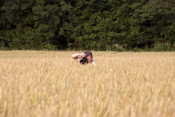Fotógrafo em campo de milho com câmera — Fotografia de Stock