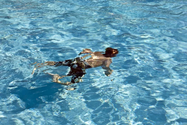 Boldog gyermek úszás a medencében — Stock Fotó