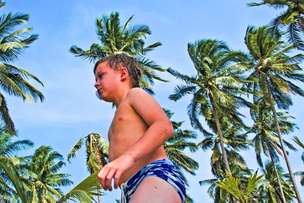 Chłopiec spaceru na plaży z palmy kokosowe w niebo — Zdjęcie stockowe