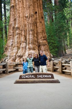Aile ile eski dev sequoia sequoia Ulusal Parkı içinde poz
