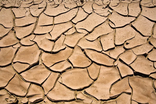 Dried and cracked mud — Stock Photo, Image