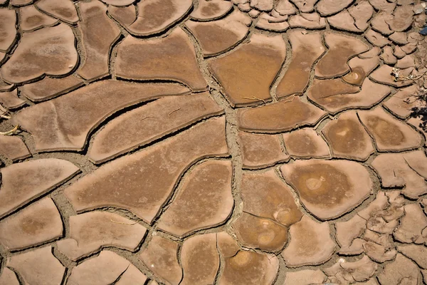 Barro seco y agrietado —  Fotos de Stock