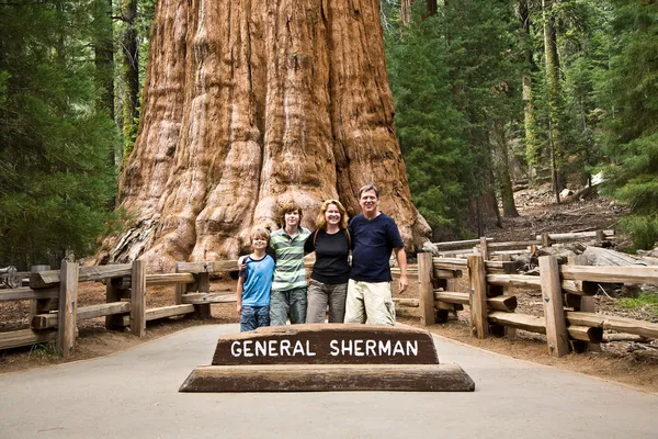 Familia está posando en el Parque Nacional Sequoia con la vieja Sequoia enorme —  Fotos de Stock