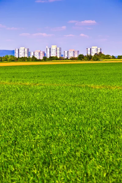 Housing area in rural landscape with fields — Stock Photo, Image
