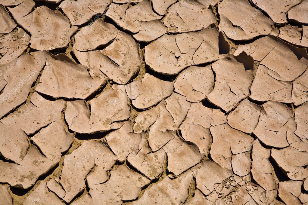 Dried and cracked mud — Stock Photo © Hackman 5802048
