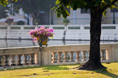 güzel binalar ve sommerpalace Park'ta bang pa